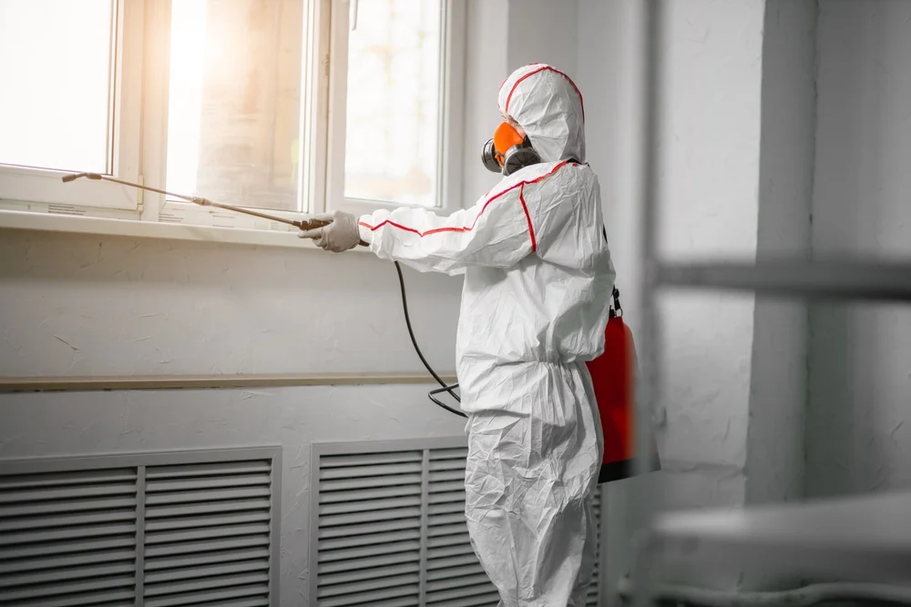 Professional mold remediation services in Viroqua, WI